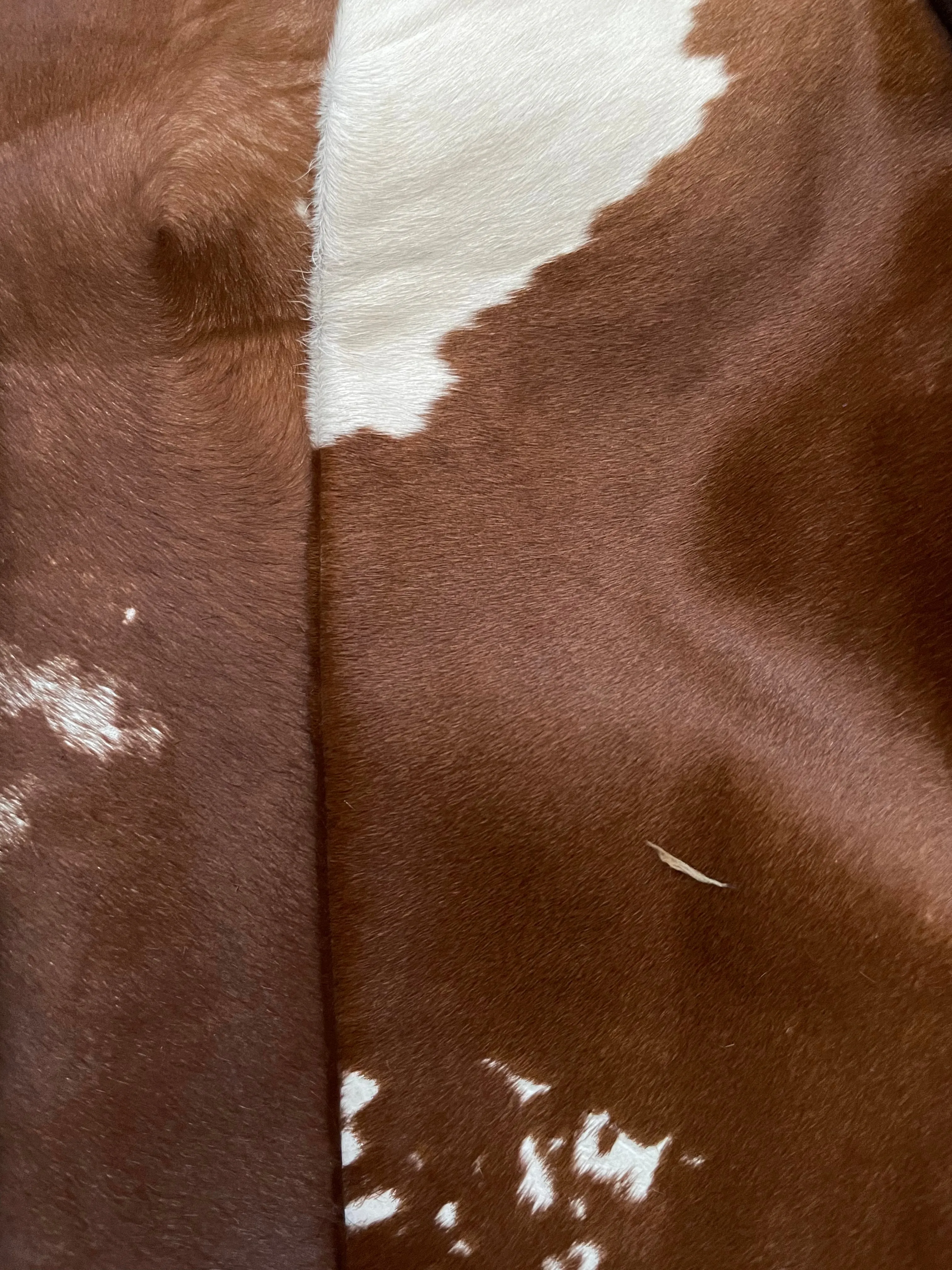 1930s Two Tone Cowhide Cropped Jacket