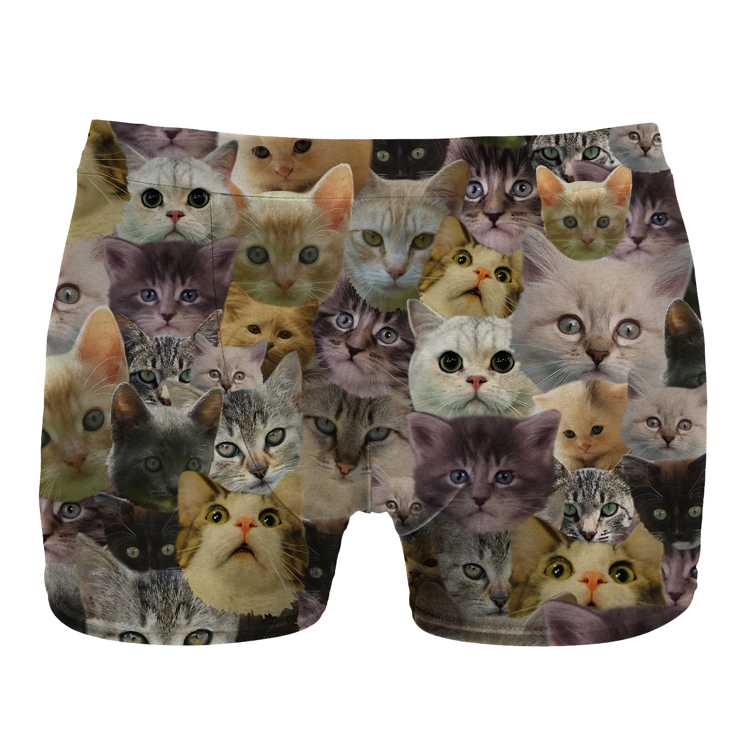 Catz underwear