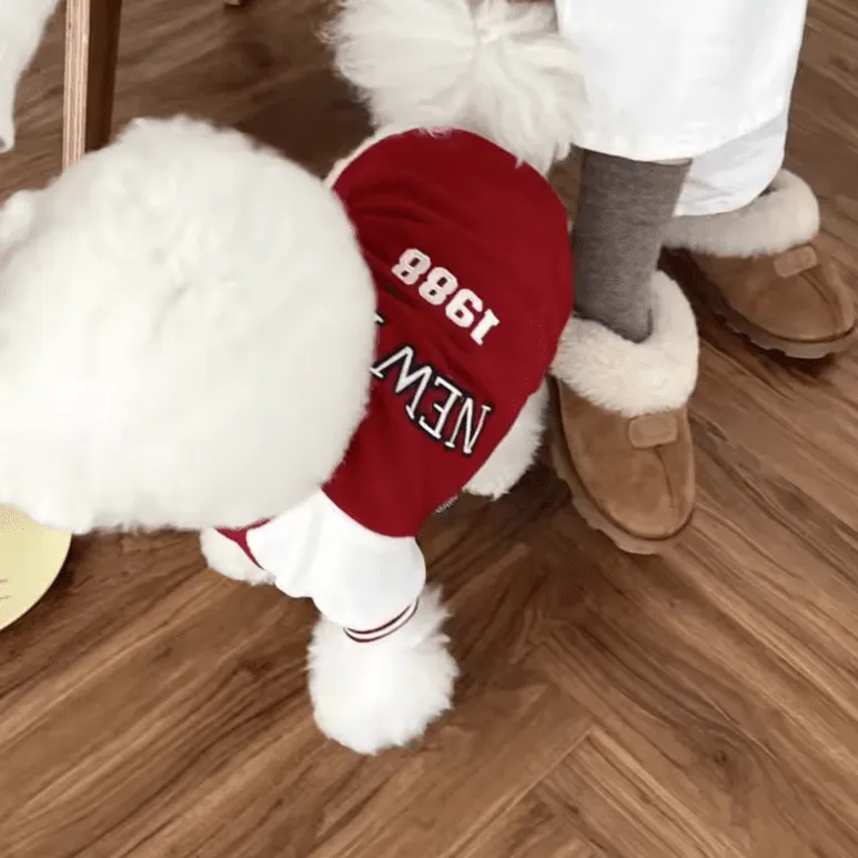 Fashion Winter Pet Baseball Jacket – Stylish Contrasting Coat for Small Dogs & Puppies – Teddy Bear Design, Warm and Cozy Dog Clothes Suit