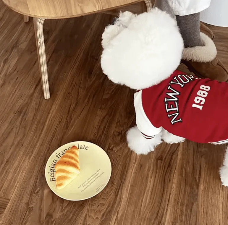 Fashion Winter Pet Baseball Jacket – Stylish Contrasting Coat for Small Dogs & Puppies – Teddy Bear Design, Warm and Cozy Dog Clothes Suit