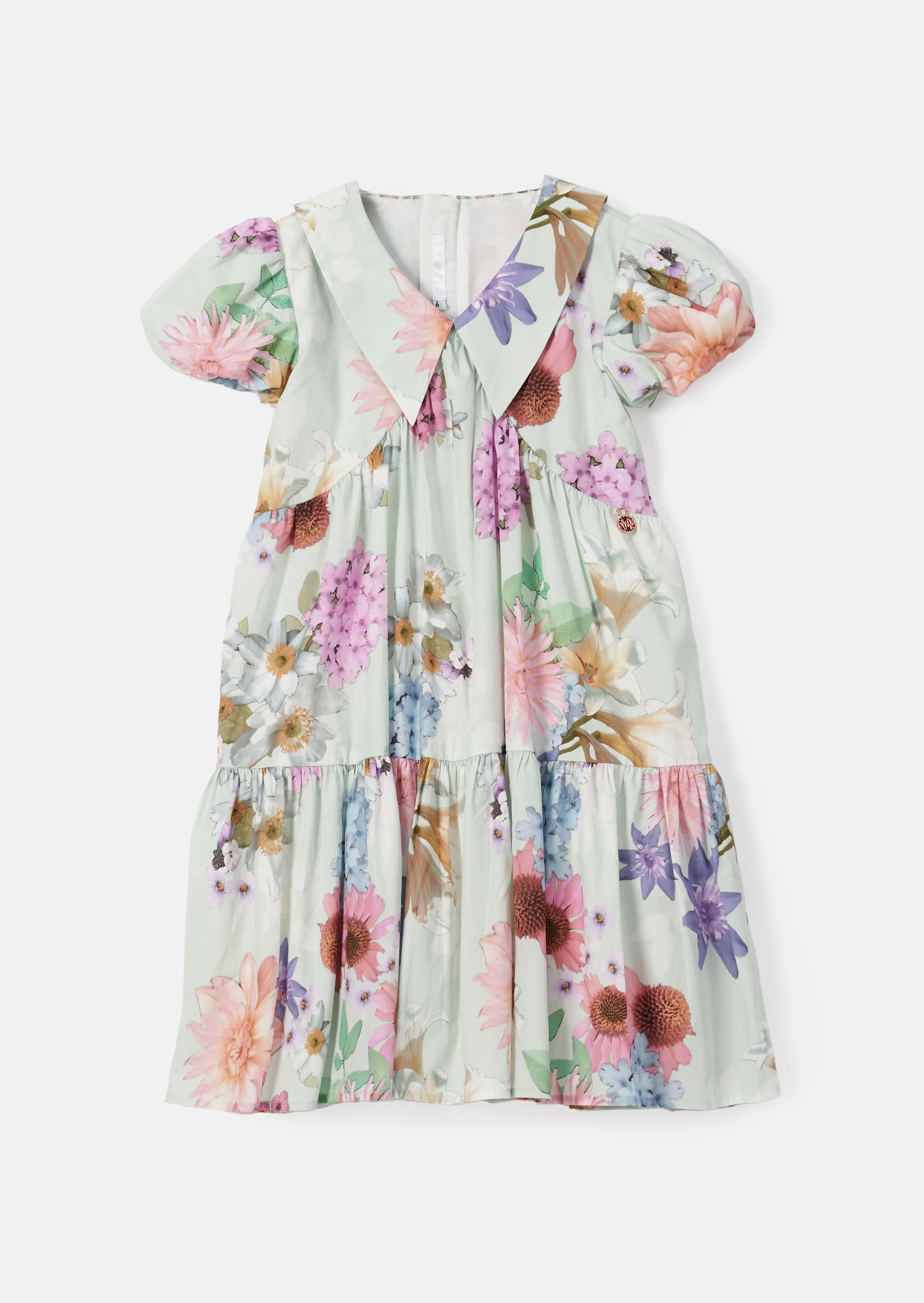 Lucia Sage Collar Print Dress