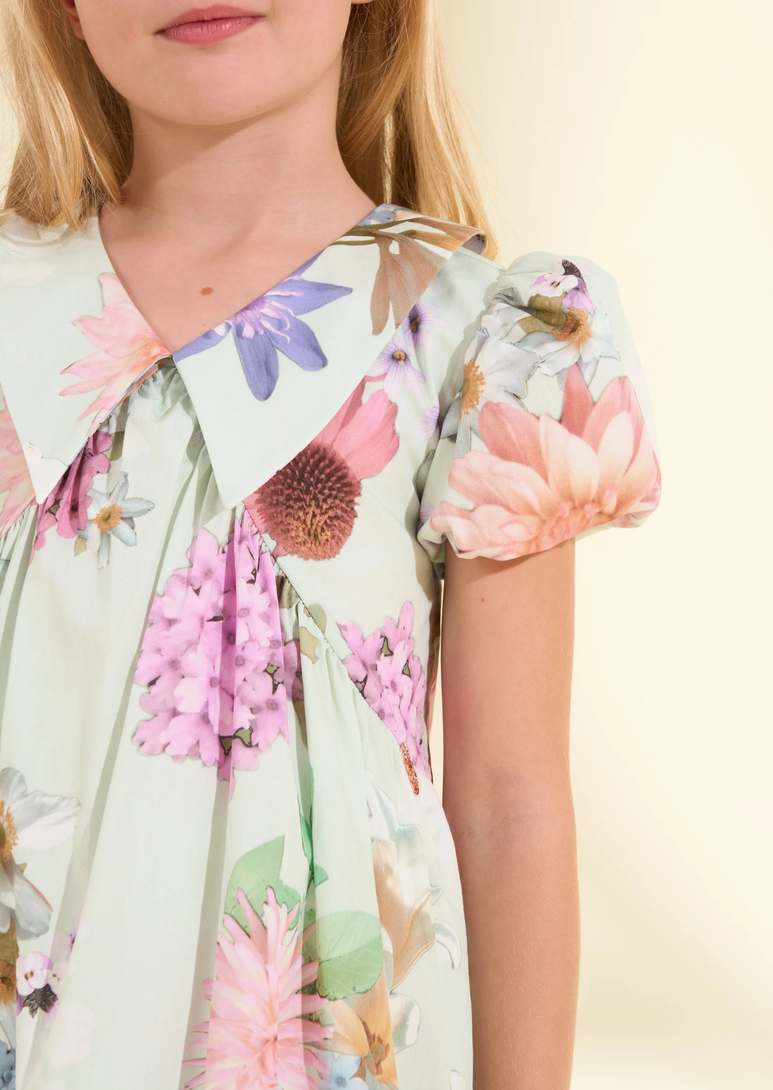 Lucia Sage Collar Print Dress