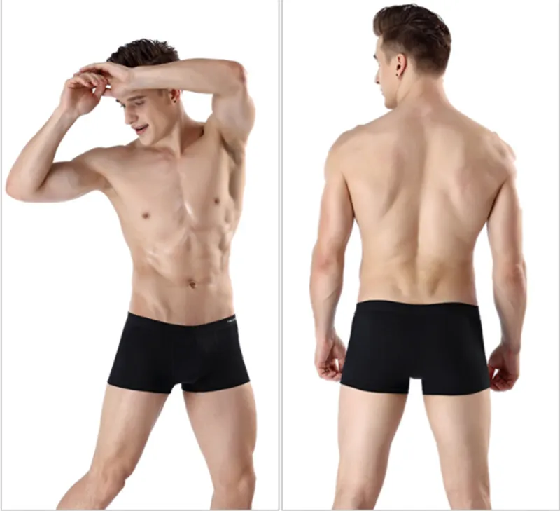 Printed Antarctic Men's Underwear