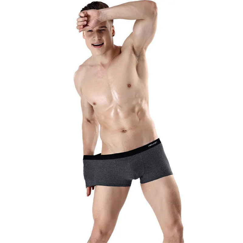 Printed Antarctic Men's Underwear