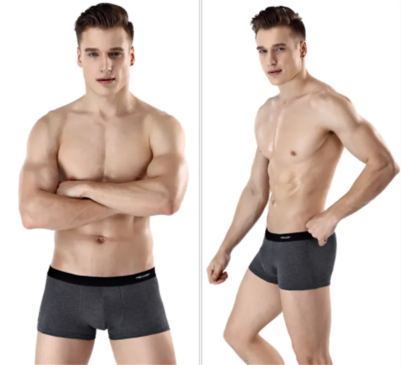 Printed Antarctic Men's Underwear