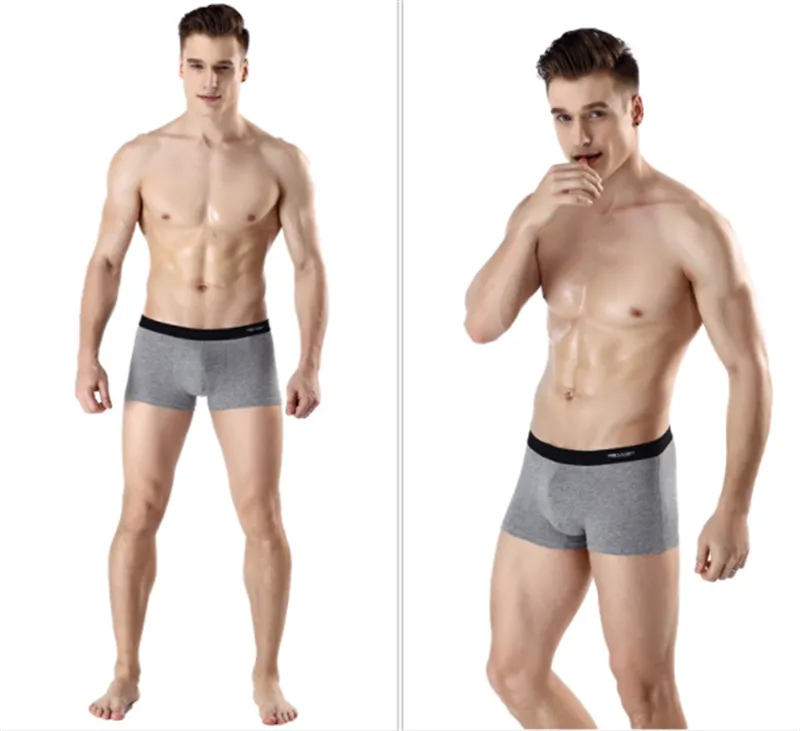 Printed Antarctic Men's Underwear