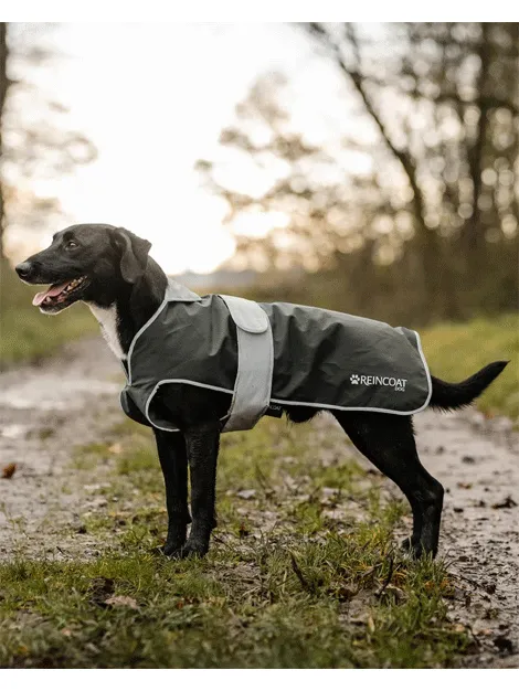 ReinCoat Dog Coat