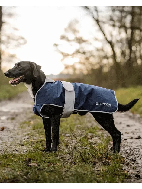 ReinCoat Dog Coat