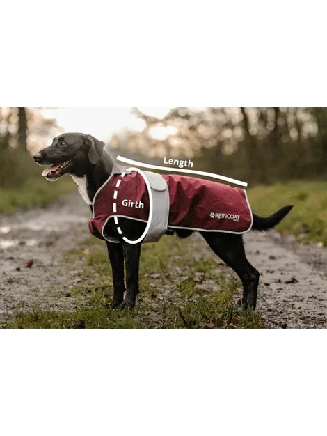 ReinCoat Dog Coat